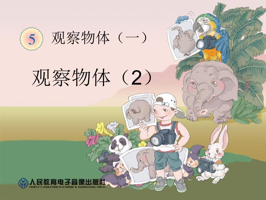 观察物体2精品教育.ppt_第1页