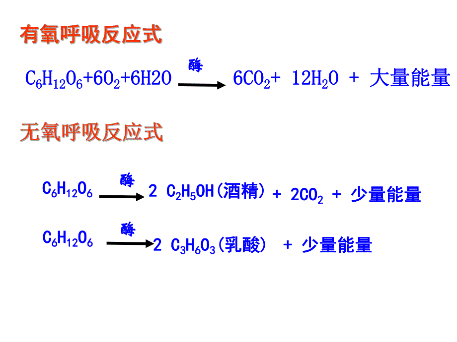 细胞呼吸原理的应用1111精品教育.ppt_第2页