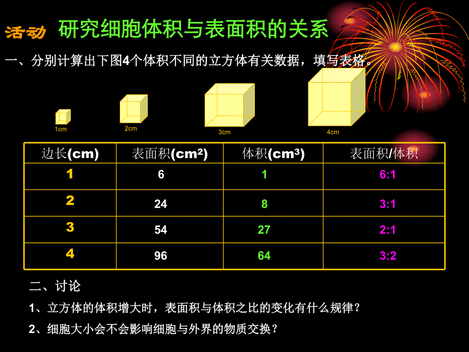 细胞通过分裂而增殖精品教育.ppt_第3页