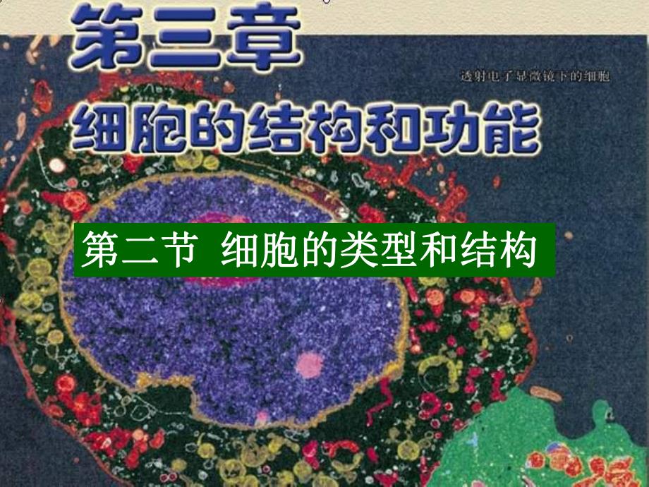 细胞的类型和结构精品教育.ppt_第1页