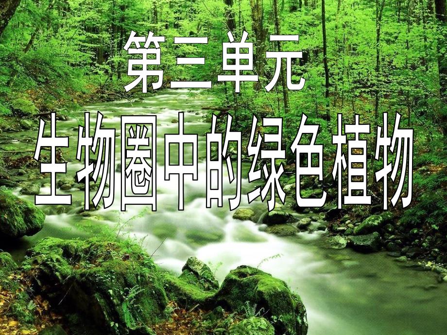 藻类苔藓和蕨类植物精品教育.ppt_第1页