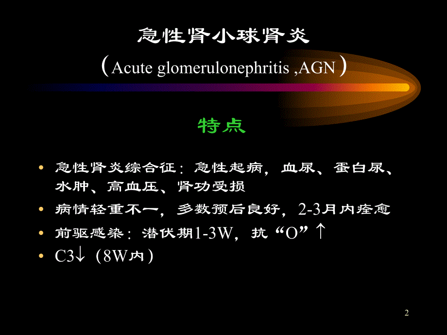 慢性肾炎.ppt_第2页