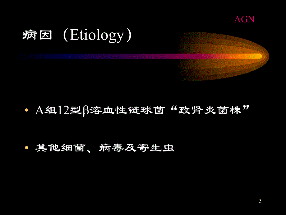 慢性肾炎.ppt_第3页