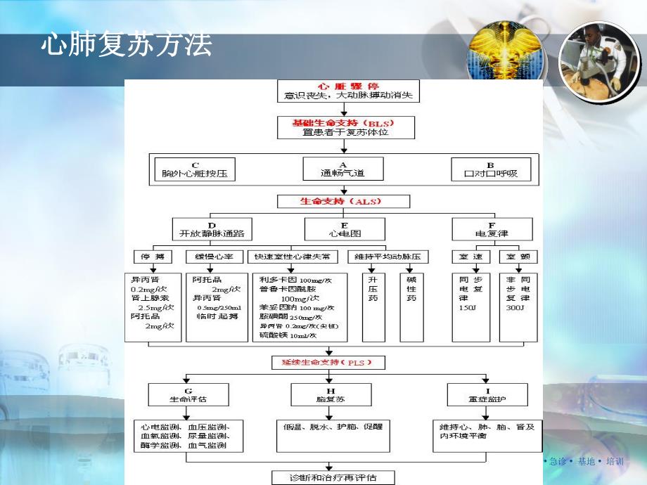 心肺复苏概述与药物治疗.ppt_第2页