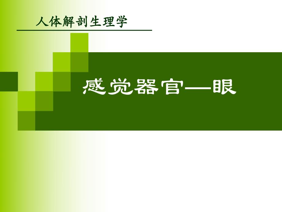 感觉器官视器.ppt_第1页