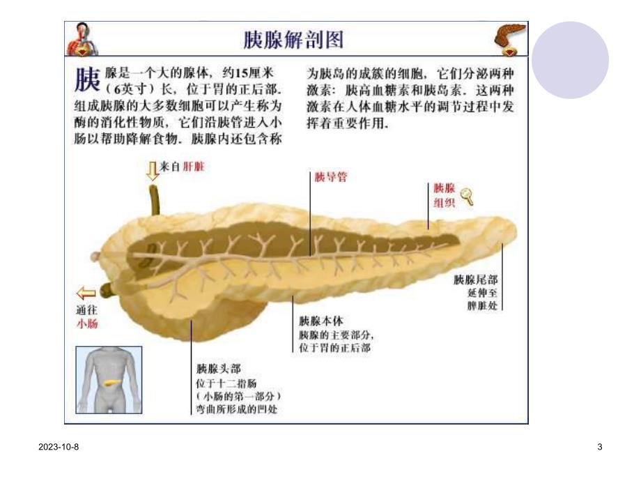 急性胰腺炎与妊娠ppt课件.ppt_第3页