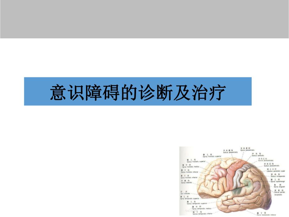 意识障碍诊断及治疗.ppt_第1页