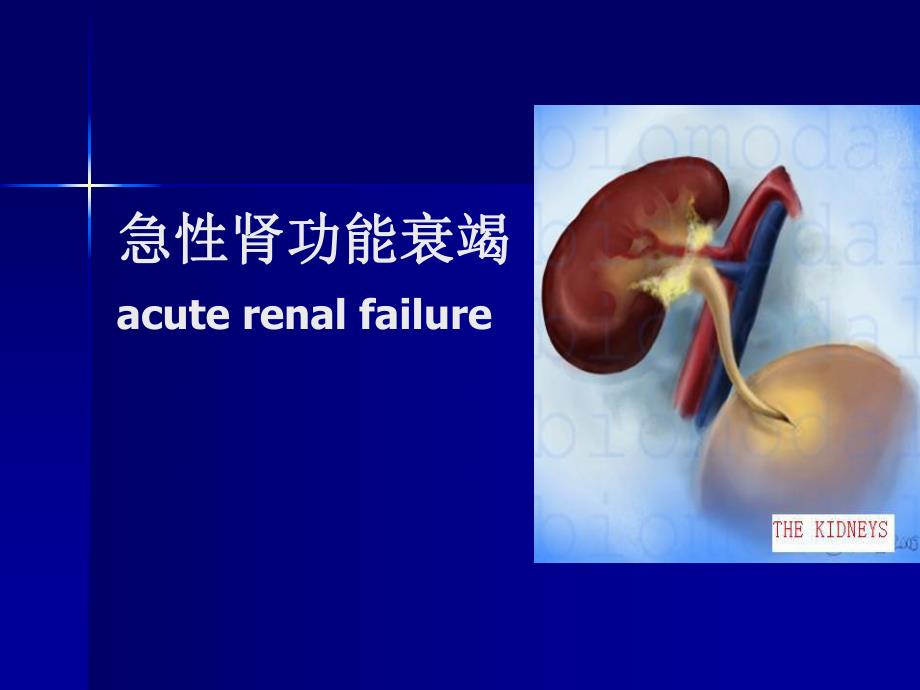 急性肾功能衰竭2.ppt_第1页