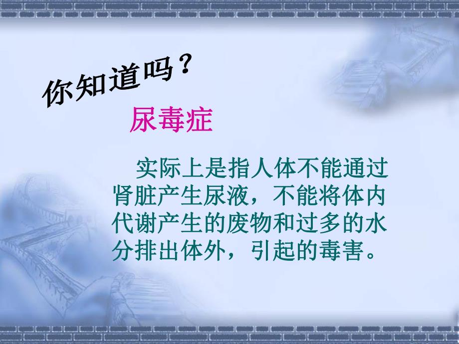 尿的形成和排出公开课.ppt_第2页