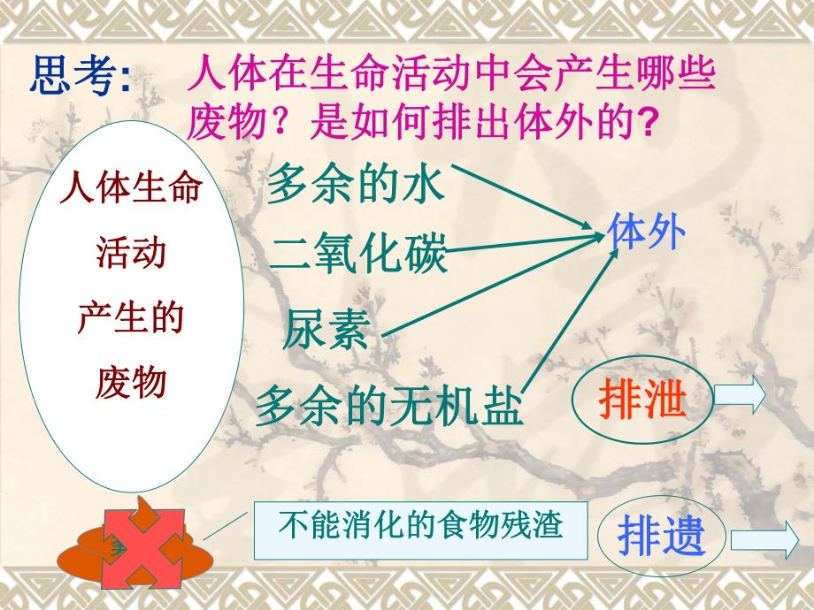 尿的形成和排出公开课.ppt_第3页