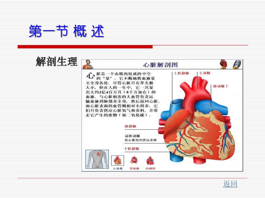 心脏疾病病人的护理.ppt_第3页