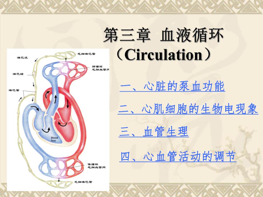 心血管活动的调节.22ppt.ppt_第1页