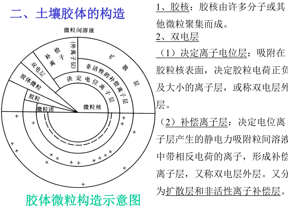 土壤胶体与吸附性.ppt_第3页