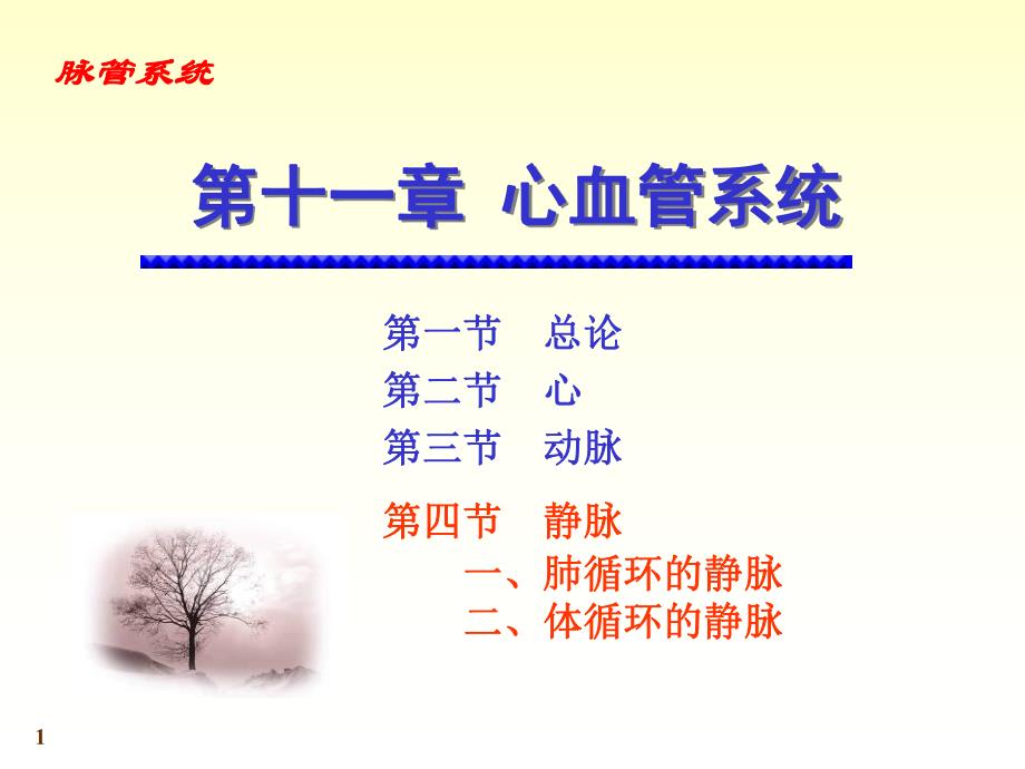 心脑血管静脉.ppt_第1页