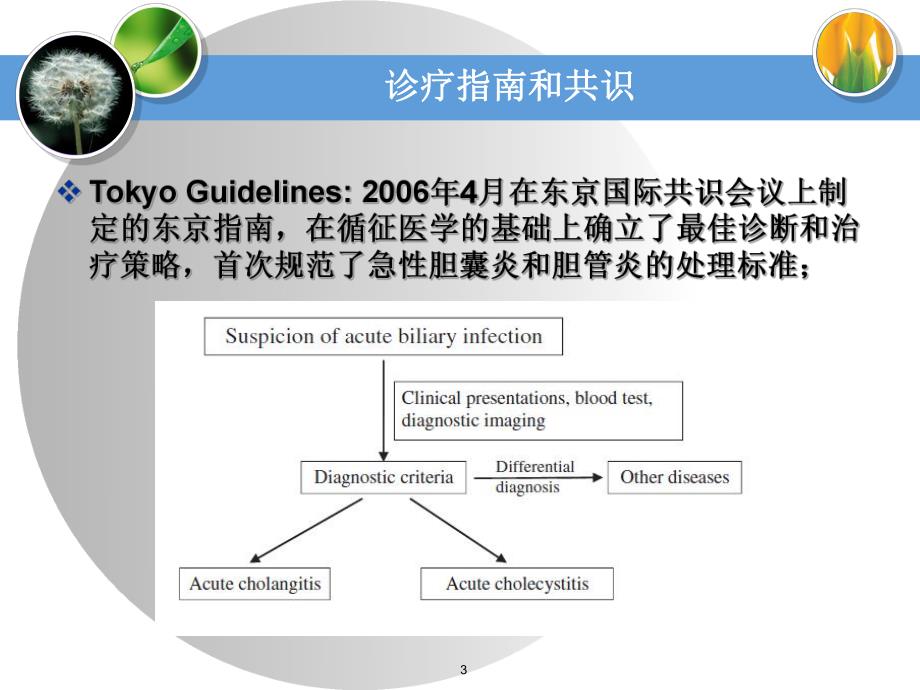 急性胆道系统感染的诊断和外科治疗.ppt_第3页