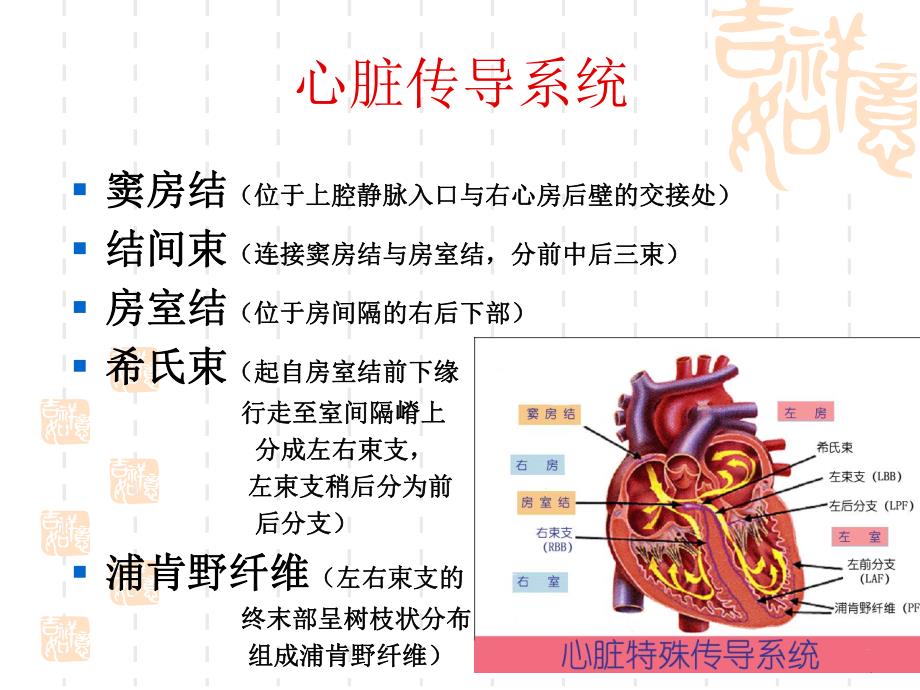 心脏传导阻滞及麻醉处理(王明德)名师编辑PPT课件.ppt_第2页