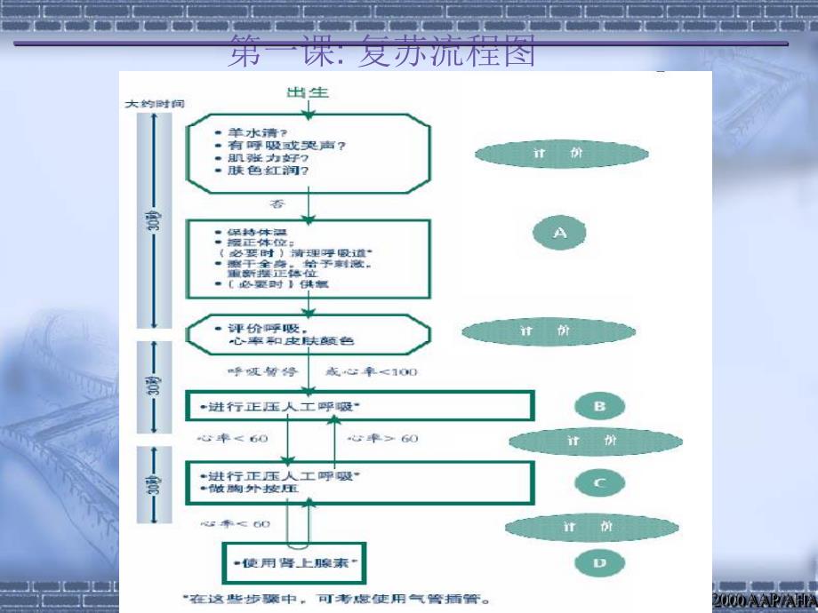 新生儿复苏新读名师编辑PPT课件.ppt_第3页