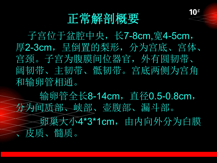 妇科B超课件 .ppt_第3页