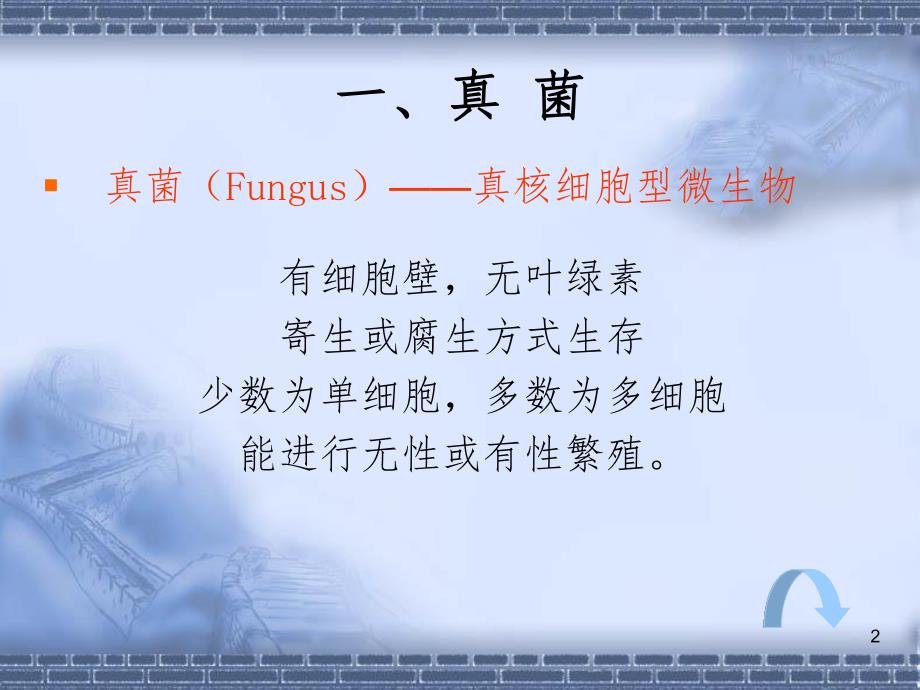 抗真菌药物ppt课件.ppt_第2页