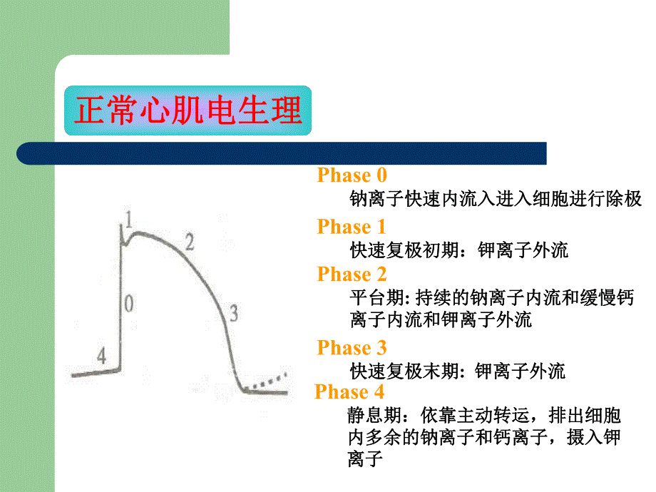 抗心律失常药(pc)名师编辑PPT课件.ppt_第3页