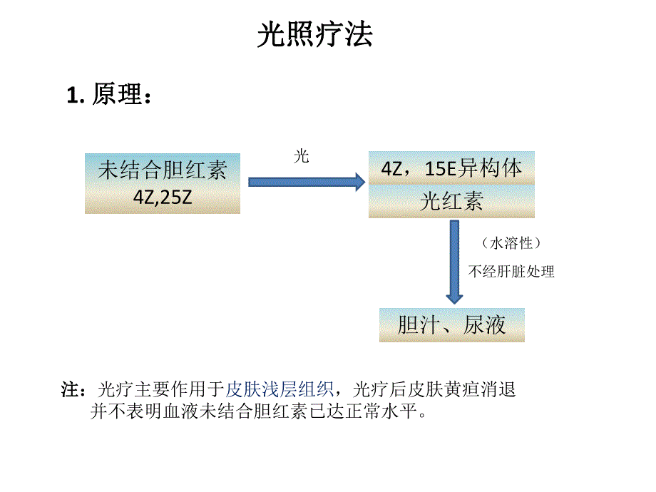 新生儿黄疸的治疗光疗.ppt_第2页