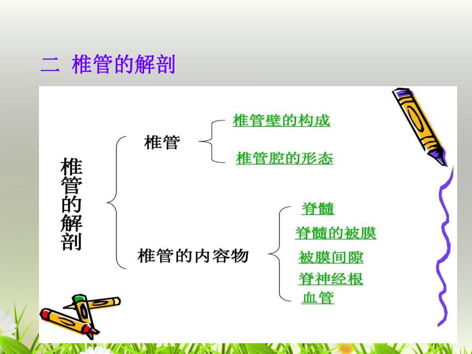 椎管占位病人的护理.ppt_第3页