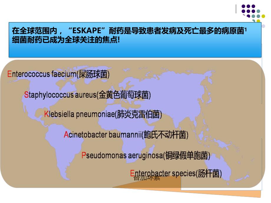 抗菌药物应用演示文稿新.ppt_第3页