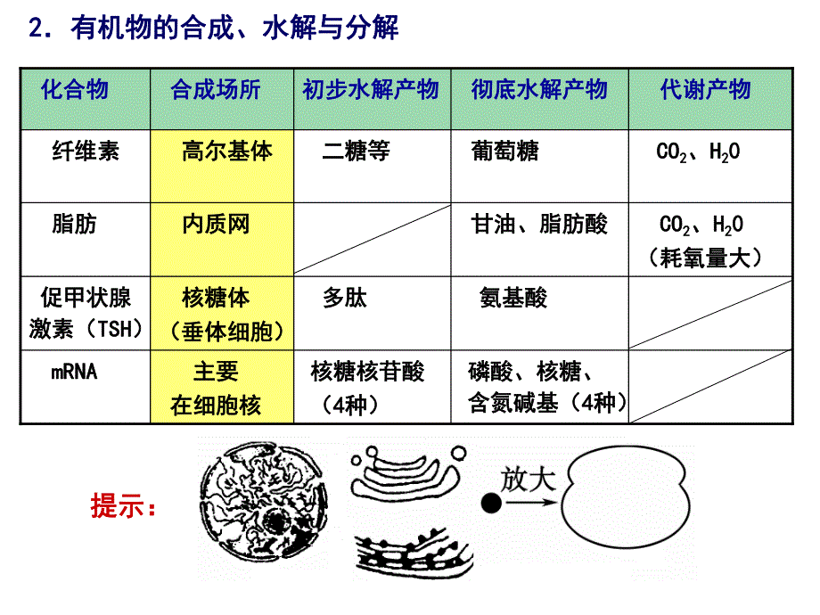 第1讲细胞的分子组成.ppt_第3页