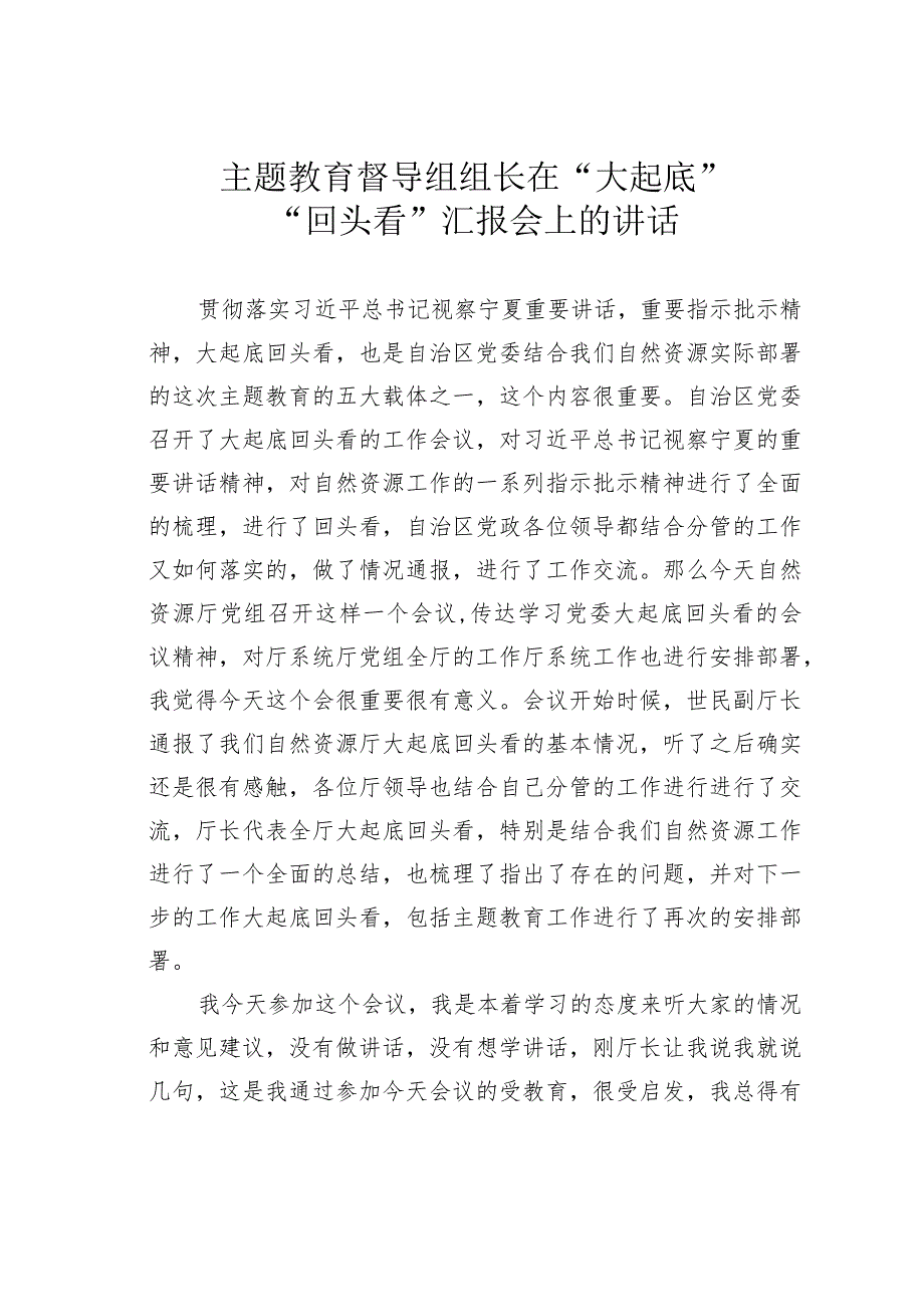 主题教育督导组组长在“大起底”“回头看”汇报会上的讲话.docx_第1页