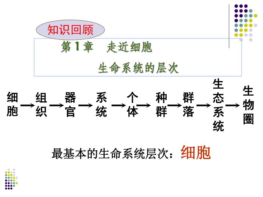 第1章走近细胞生命系统的层次名师编辑PPT课件.ppt_第1页