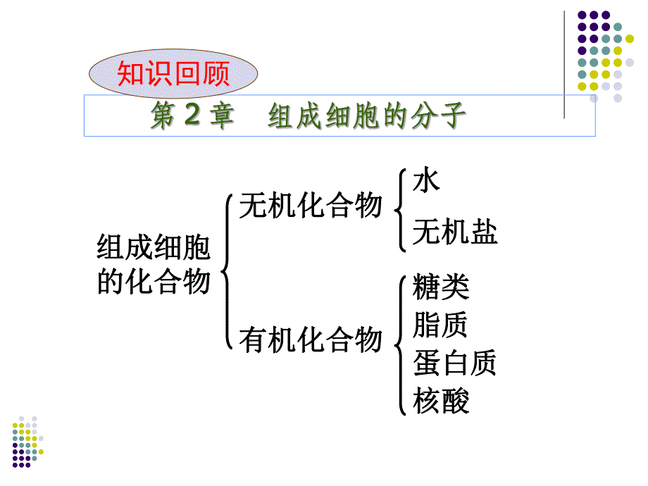 第1章走近细胞生命系统的层次名师编辑PPT课件.ppt_第2页