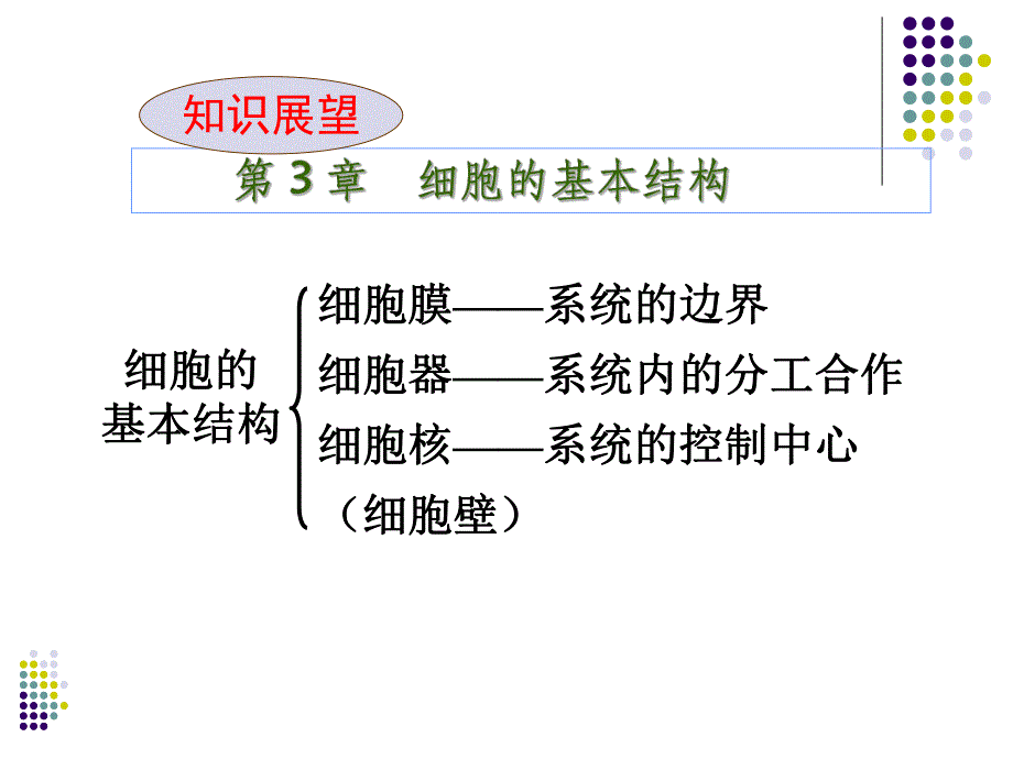 第1章走近细胞生命系统的层次名师编辑PPT课件.ppt_第3页