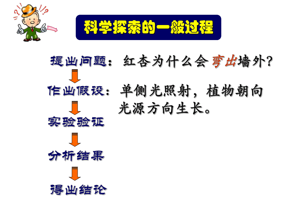 第1节植物生长素的发现.ppt_第2页