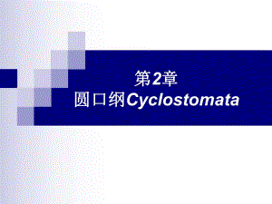 第2章圆口纲.ppt