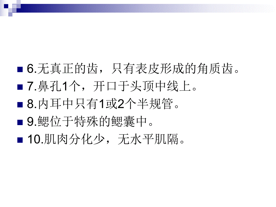 第2章圆口纲.ppt_第3页