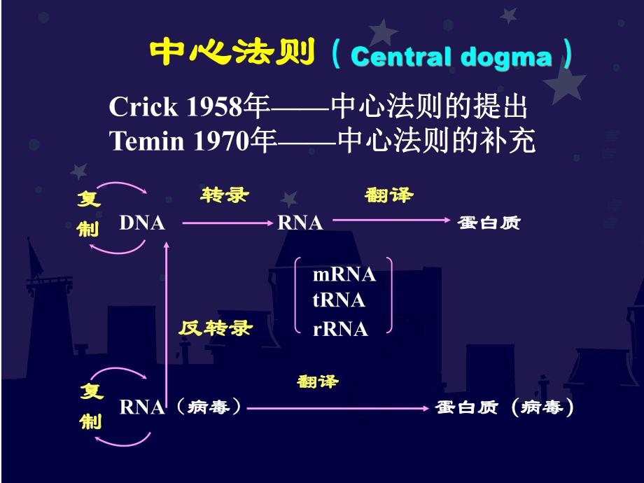 第2章中心法则.ppt_第1页