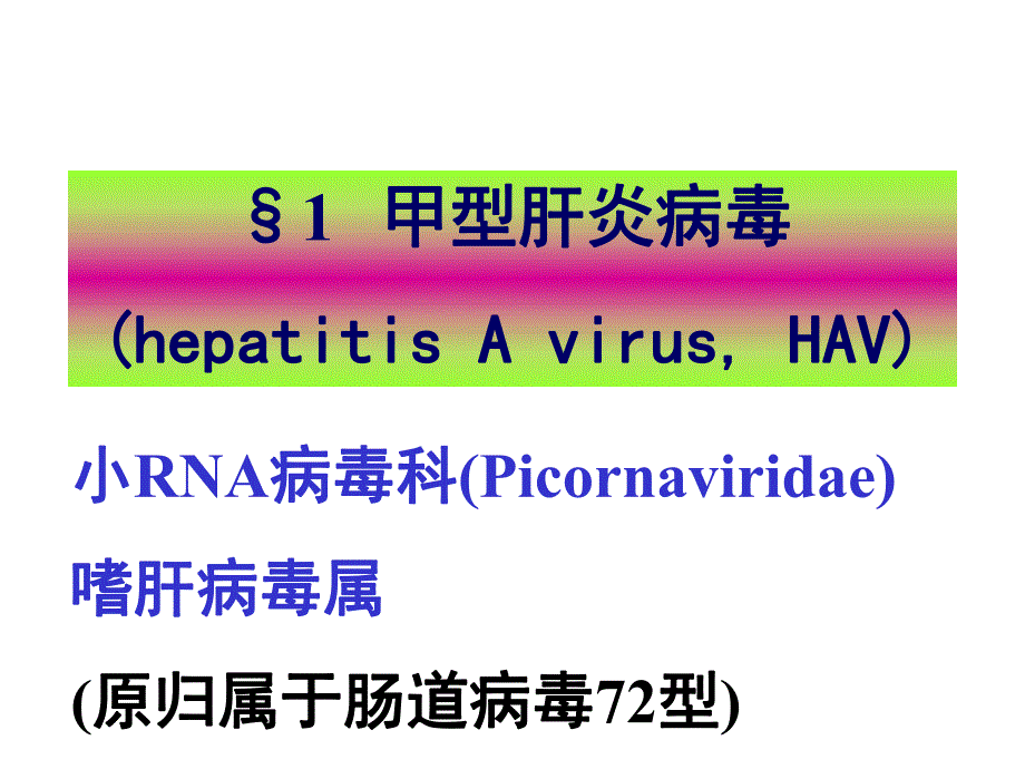 第28章肝炎病毒.ppt_第3页