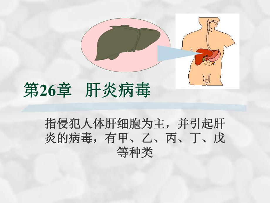 第26章肝炎病毒名师编辑PPT课件.ppt_第1页