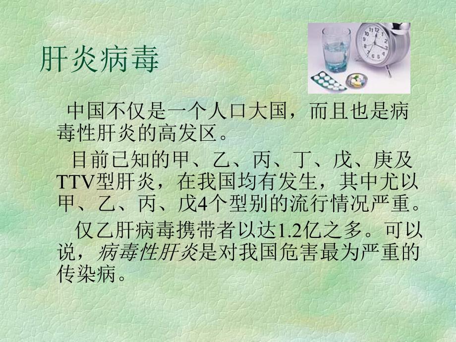 第26章肝炎病毒名师编辑PPT课件.ppt_第2页