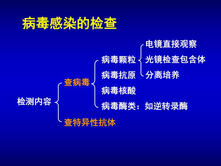 第25章病毒感染的检查方法与防治原则名师编辑PPT课件.ppt_第3页