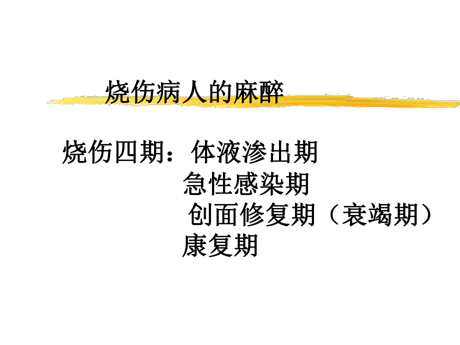 第24章烧伤病人的麻醉名师编辑PPT课件.ppt_第1页