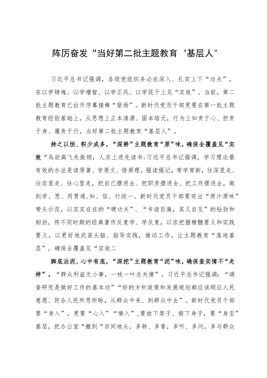 第二批主题教育研讨发言：“踔厉奋发”当好第二批主题教育“基层人”.docx_第1页