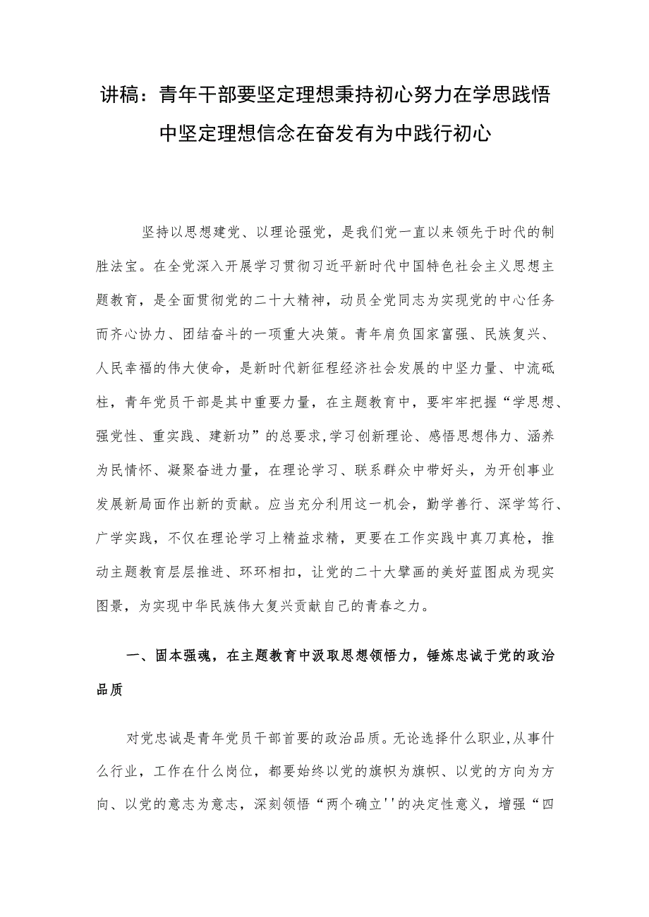 讲稿：青年干部要坚定理想秉持初心 努力在学思践悟中坚定理想信念 在奋发有为中践行初心.docx_第1页