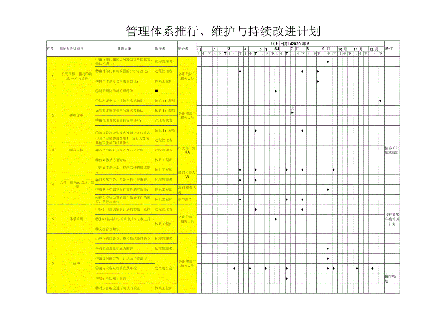 管理体系推行、维护与持续改进计划.docx_第1页