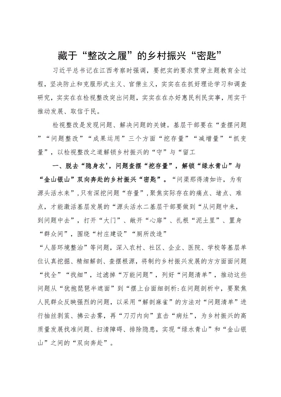 某街道党员干部主题教育研讨材料：藏于“整改之履”的乡村振兴“密匙”.docx_第1页