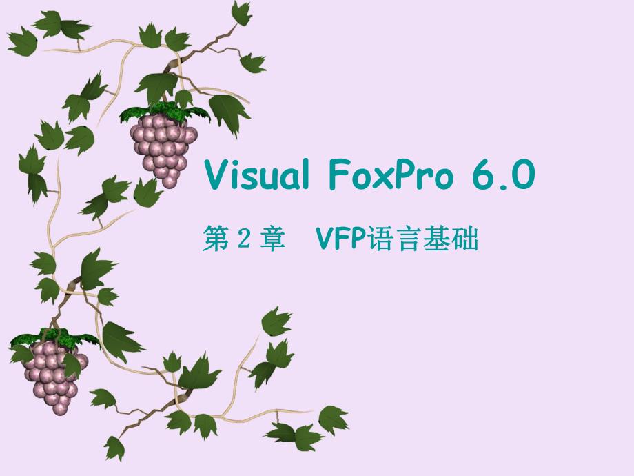 第2章VFP语言基础.ppt_第1页