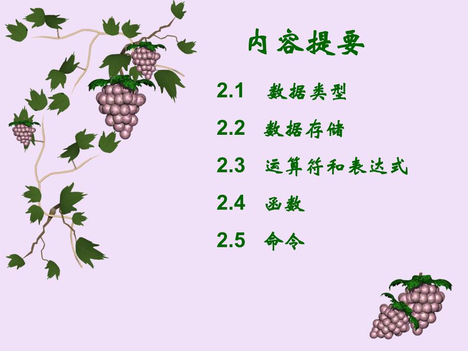 第2章VFP语言基础.ppt_第2页