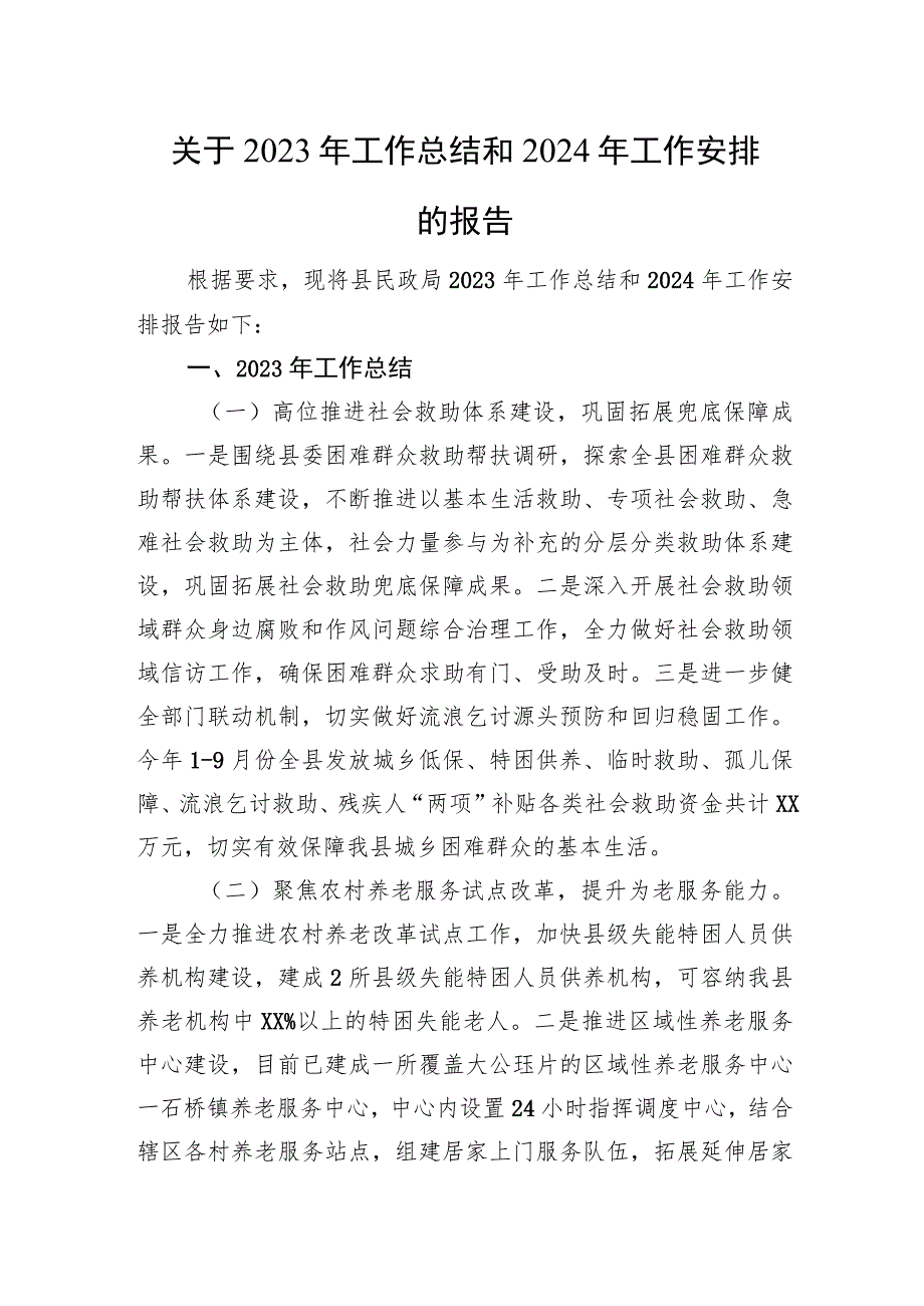 关于2023年工作总结和2024年工作安排的报告.docx_第1页