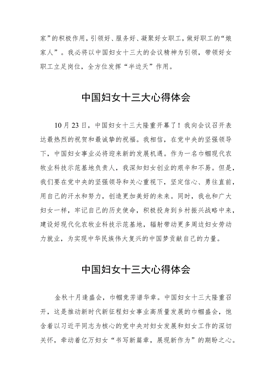 妇联主席学习中国妇女第十三次全国代表大会精神心得体会十篇.docx_第2页