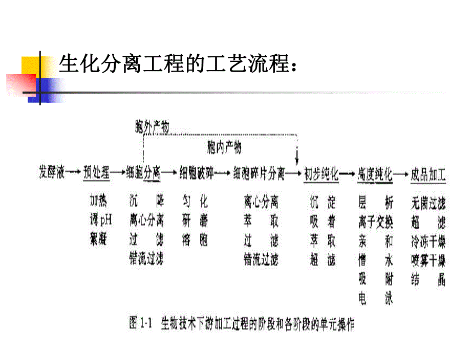 第2章发酵液的预处理和菌体回收.ppt_第2页